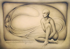 Alhemia Organica IX, (2002) | pencil on paper, 50x70 cm